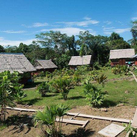 איקיטוס Maniti Expeditions Eco Lodge מראה חיצוני תמונה