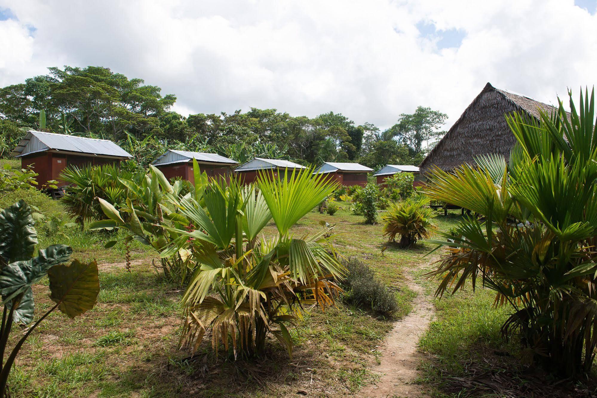 איקיטוס Maniti Expeditions Eco Lodge מראה חיצוני תמונה