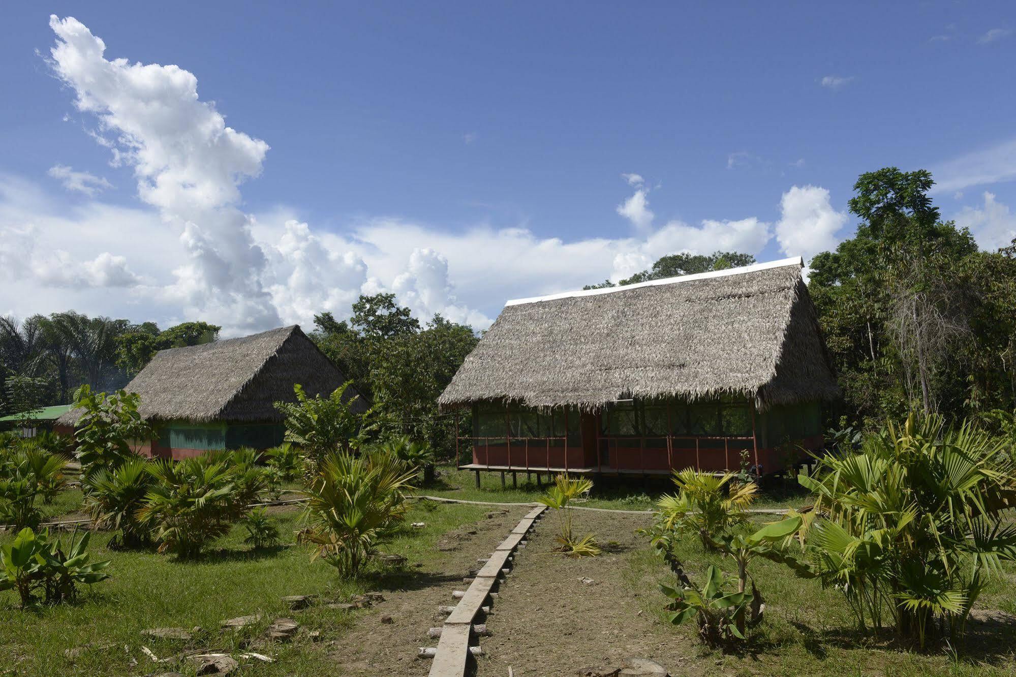 איקיטוס Maniti Expeditions Eco Lodge מראה חיצוני תמונה